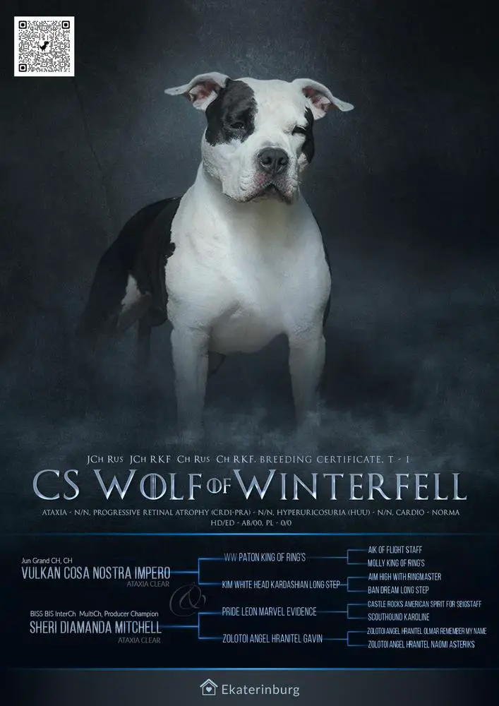 C.S. Wolf of Winterfell