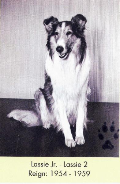 Lassie (Jr.) II