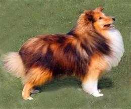 Lythwood Steptoe