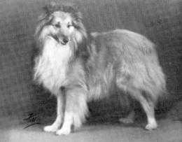 Russetcoat Of Callart