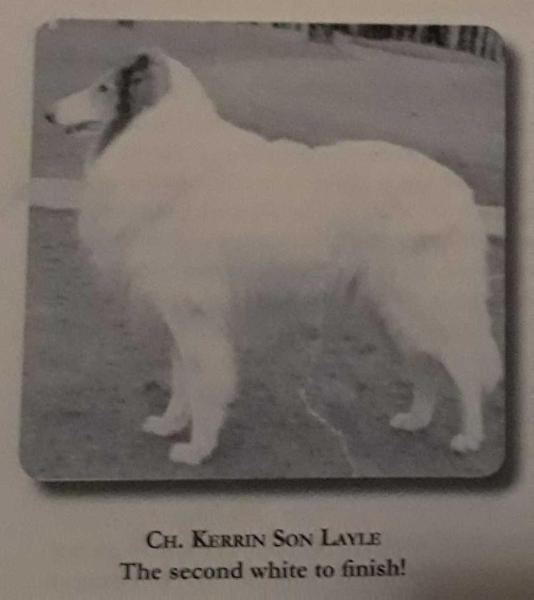 Kerrin Son of Layle