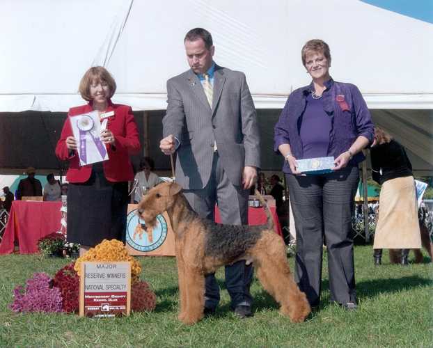 Princedale's Highlight Harley