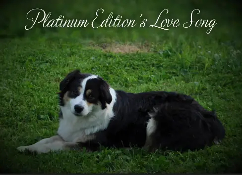 Platinum Edition's Love Song
