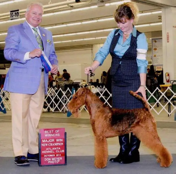 Terrydale HK Traymar National Affair