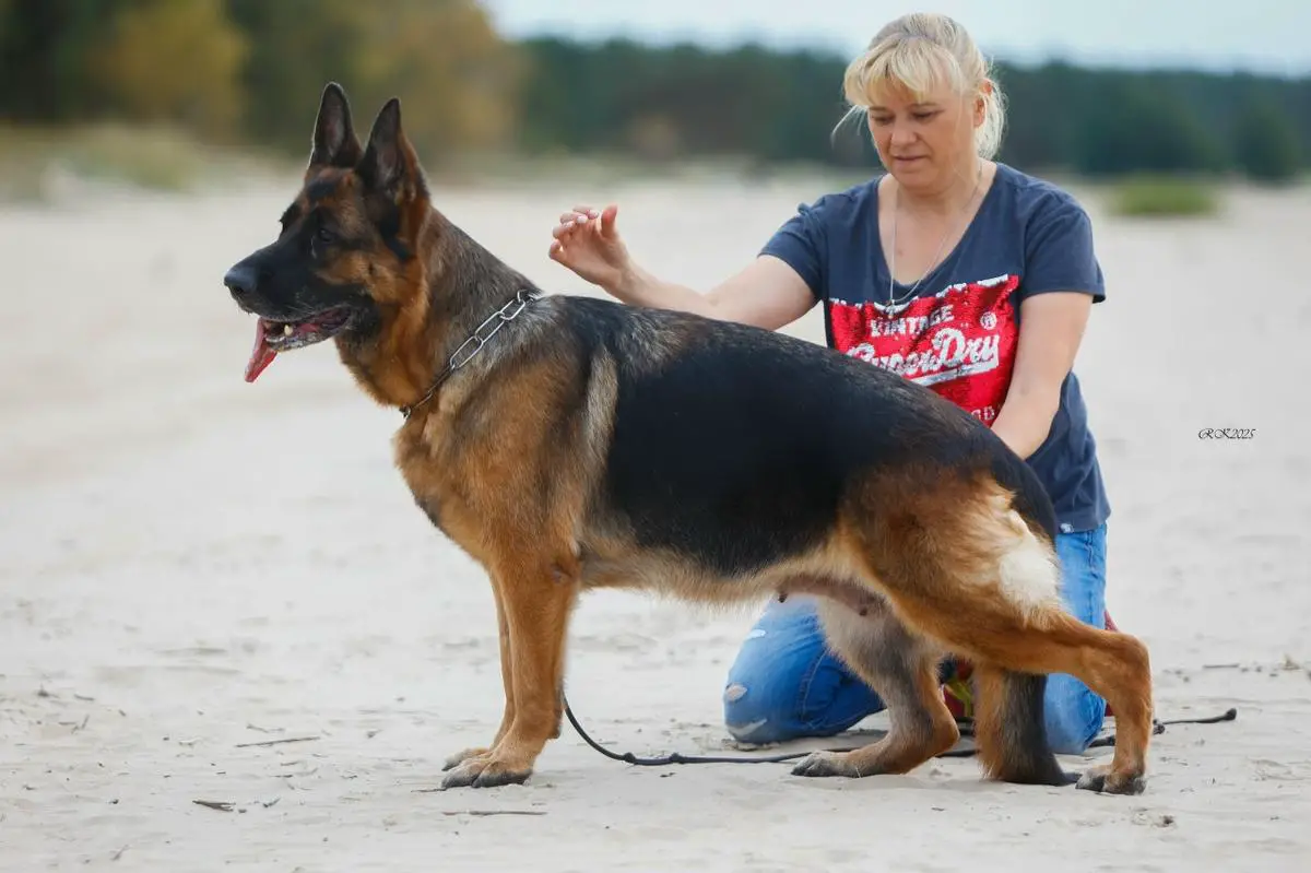 Oberlauf Chervona Ruta