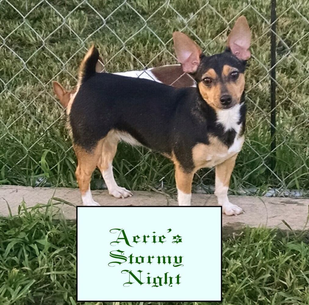 Aerie's Stormy Night