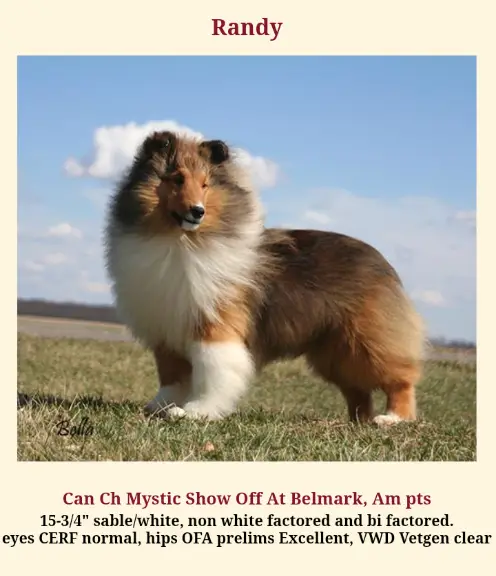 MYSTIC'S SHOW OFF AT BELMARK