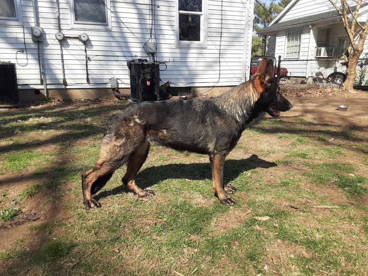 Download Freiheiten Desktop Wallpaper Free Freiheiten