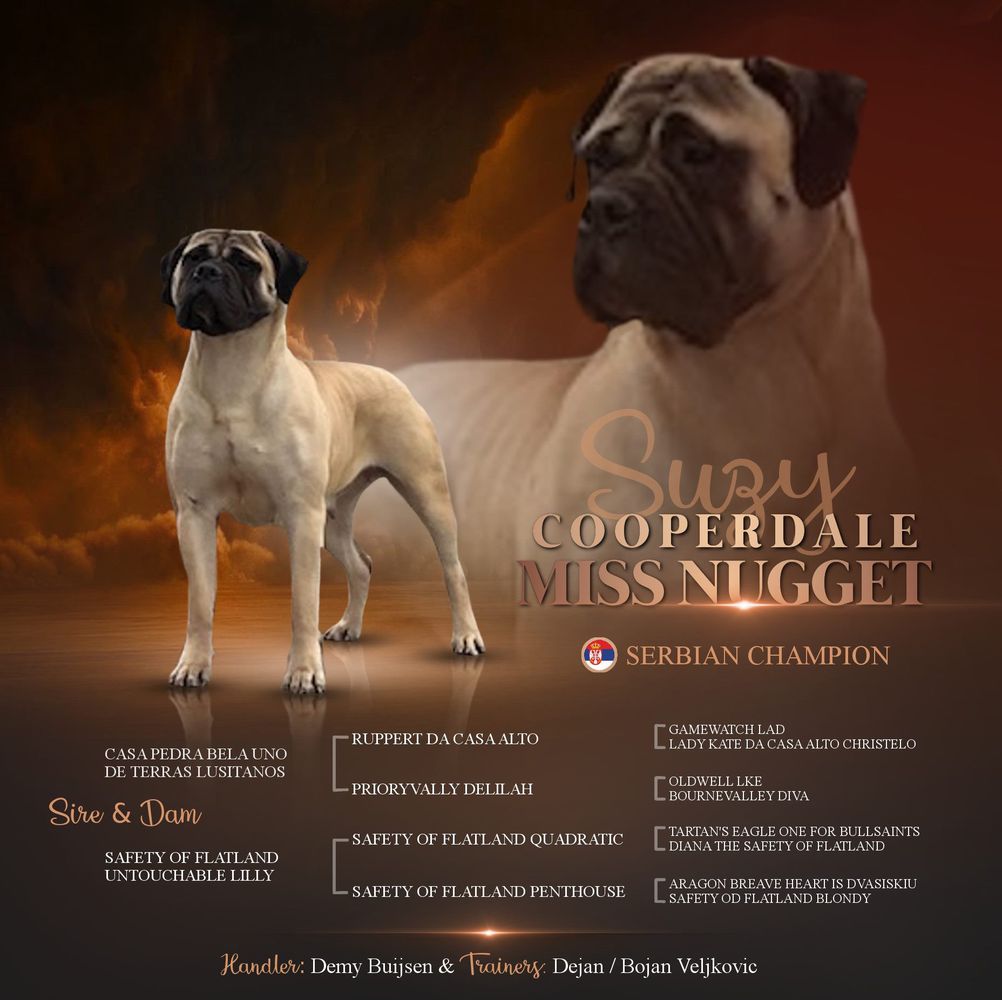 Cooperdale Miss Nugget