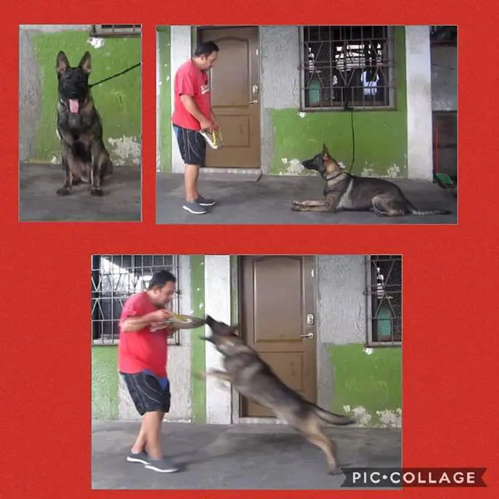 Jaro Tompera Jaro Tompera