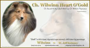 Wilwinn Heart O' Gold