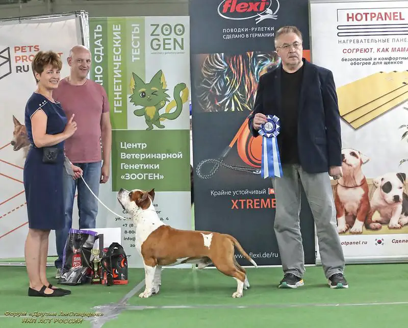 Severnaya Zhemchuzhina ULTIMATUM