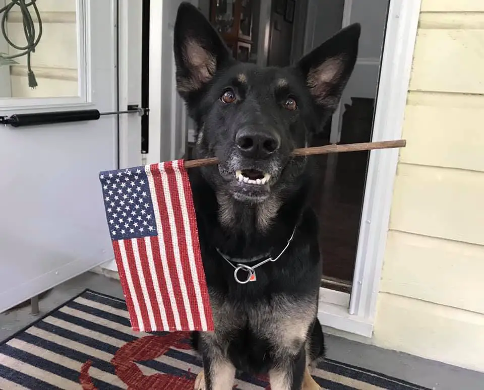 Mana vom Mack-Zwinger