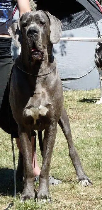 Elknahourah De L'Outsaina