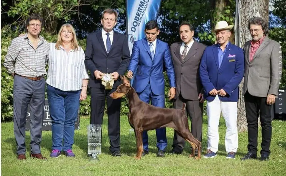 Rubí Cimbronazo