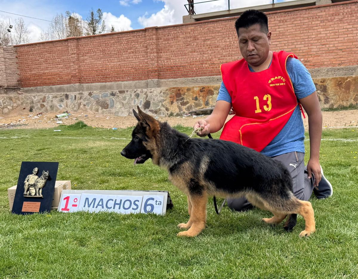 Argus del Campo de las Rosas