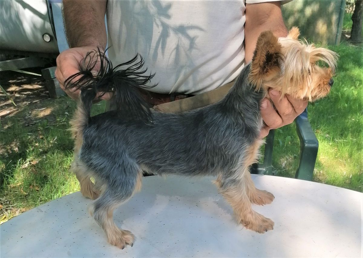 MILù DEL RANCH ALBA
