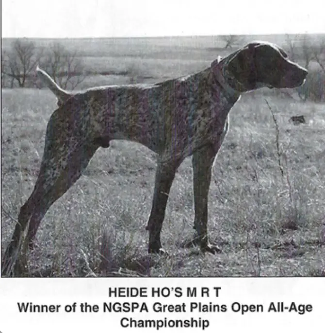 Heide Ho's MRT