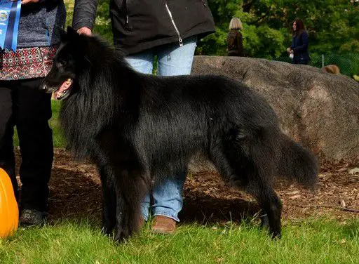 Espen de Bruine Buck