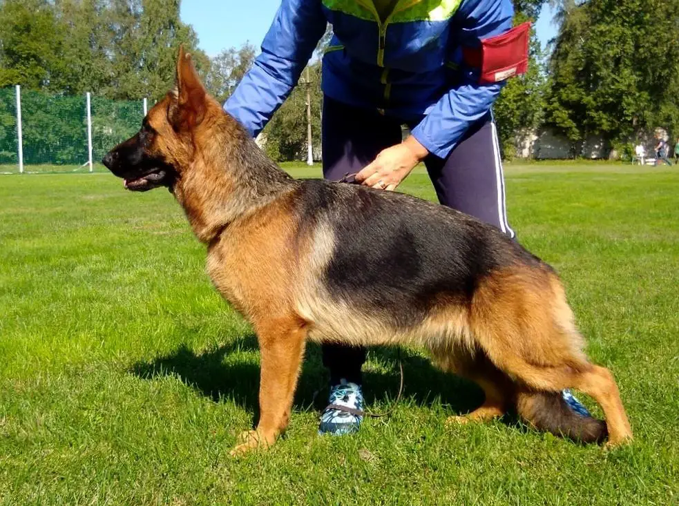 Oberlauf Zolotaya Moya