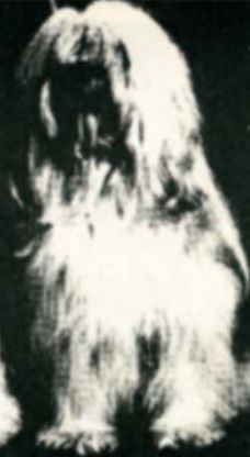 LUNEVILLE TSANS-PA OF LAKSHMI