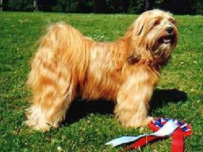 WILLOWBRAE LUCKY LU-KHANG