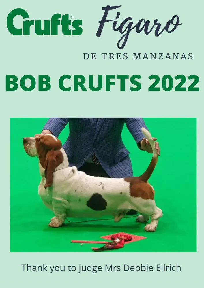 Figaro de Tres Manzanas