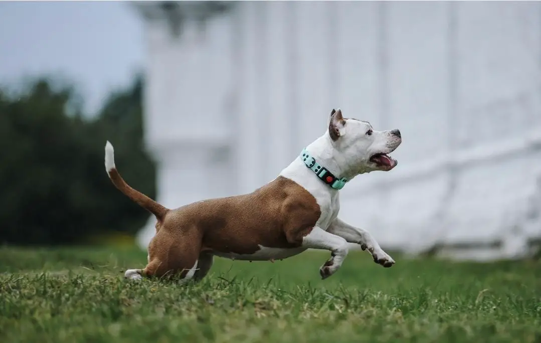 Almost God Its My Life