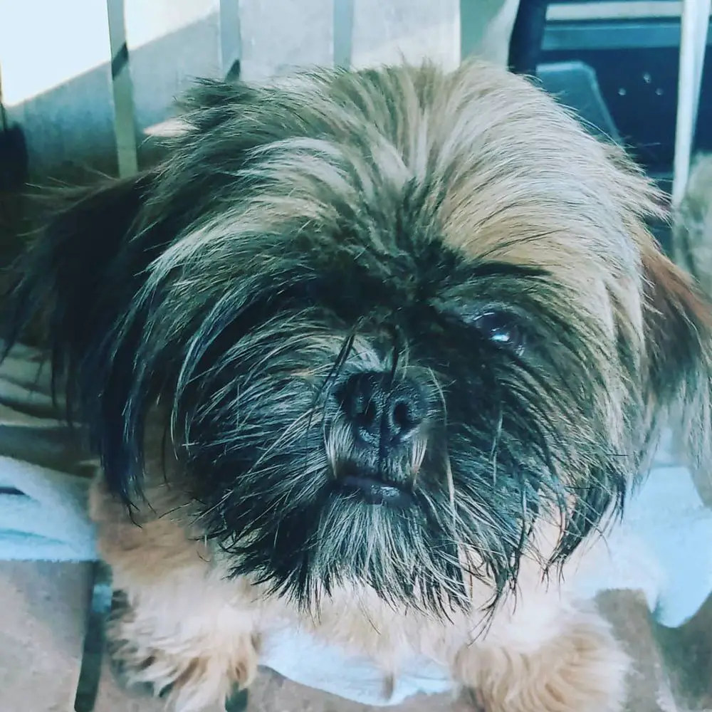 Abby