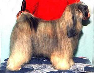 TI-BA SENG KYE