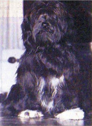 BHODI VON SADANA