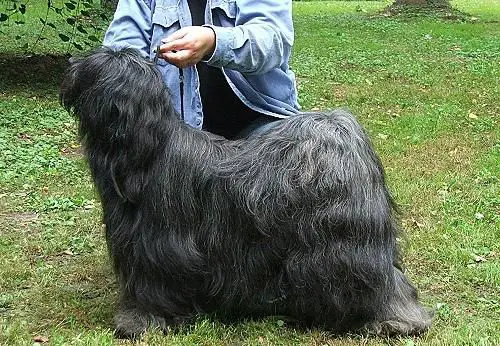JO-CEE-FUZ VON KHAMPA-LA