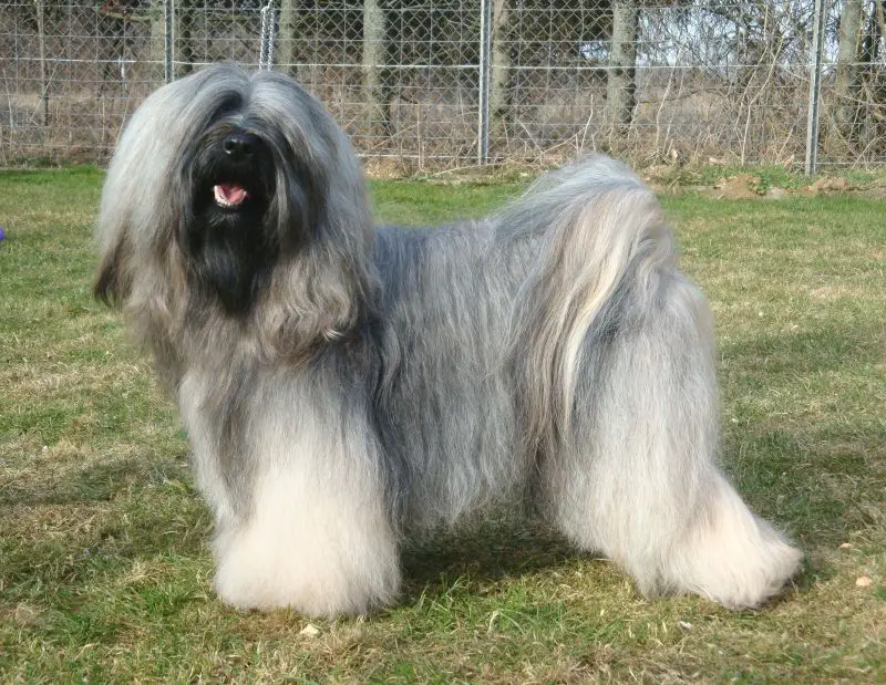 ZELANDONIS LHUNDUP WANGTHANG