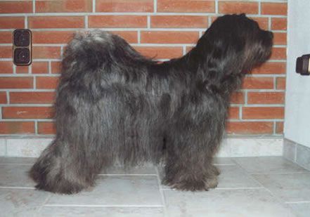 SCHANTI'S MA-NI LAMLEH