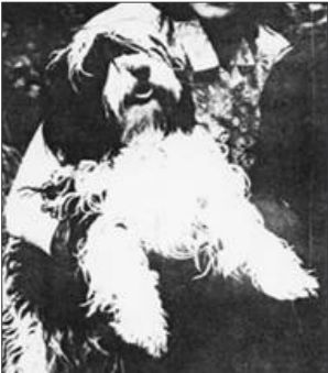GYRA VON POTALA