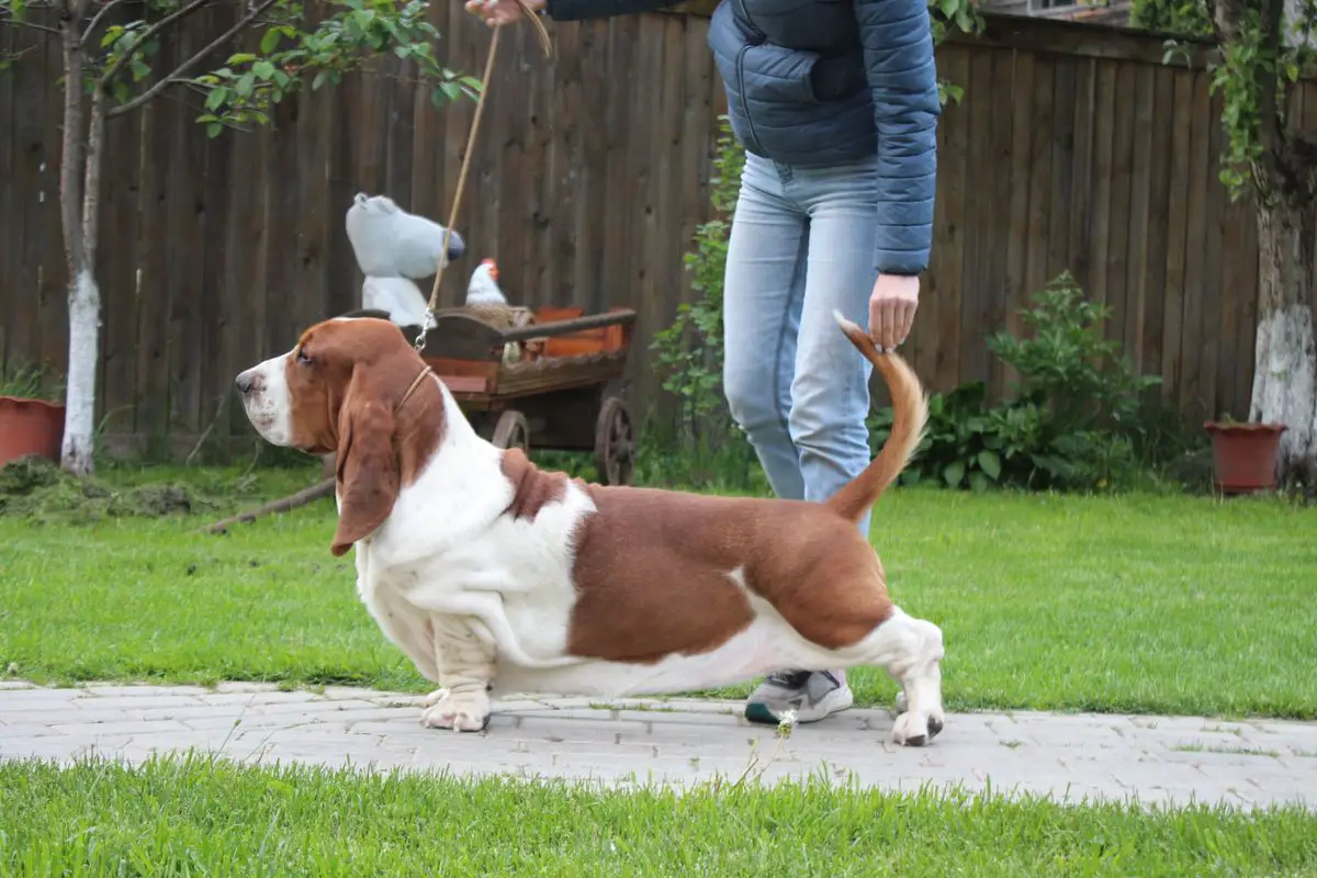 Friendship With The Short -Legged Imothep