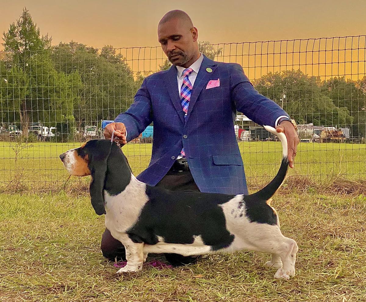 Lomarol Hounds The Sky is the limit