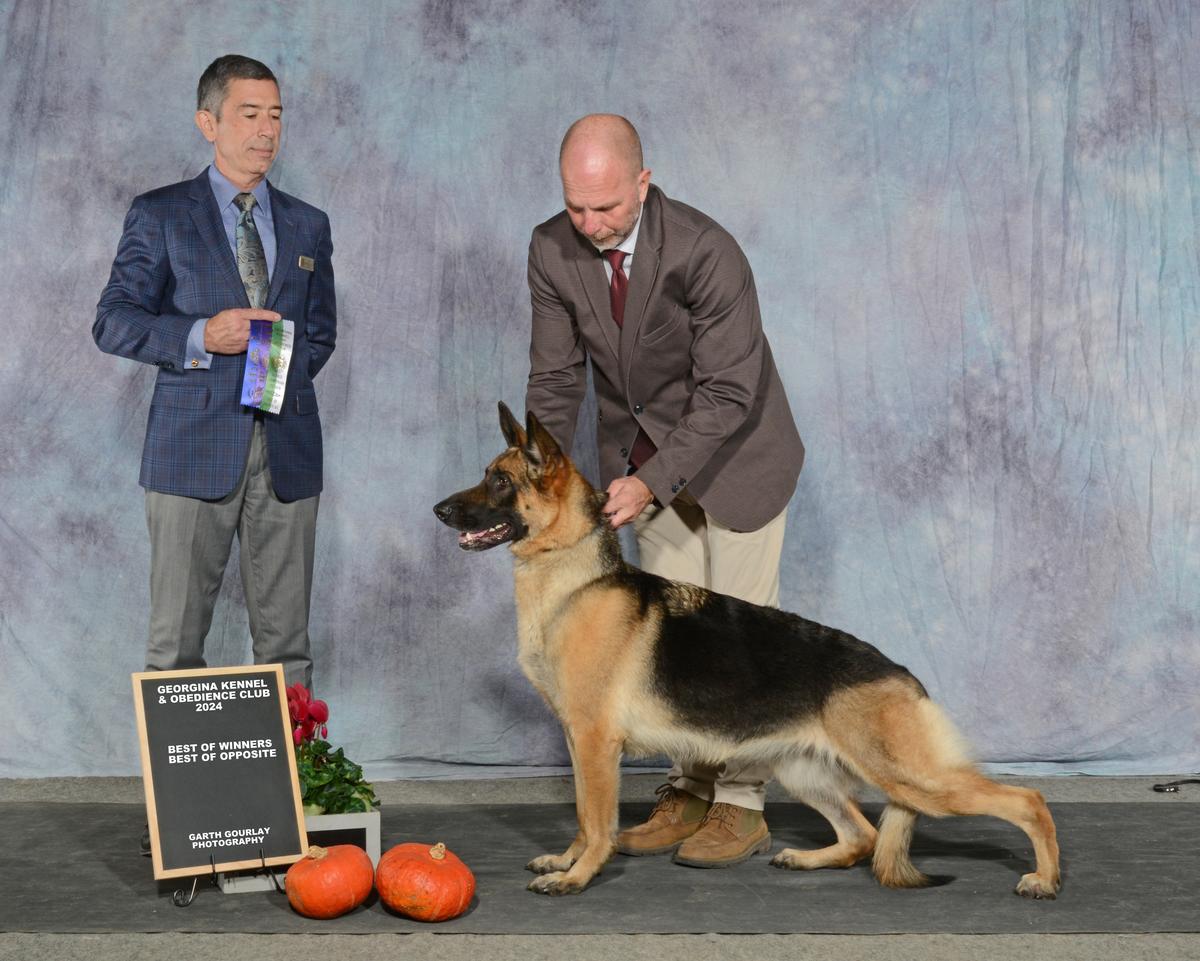 Hellwigg’s Fire In Her Soul