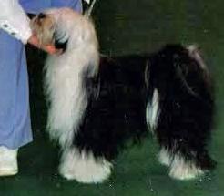 GULGATES KYI-CHU