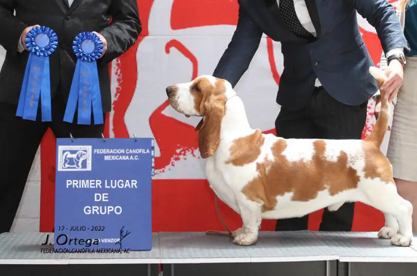 Dorian Gray CAMBLANC (Almazan/Campos)