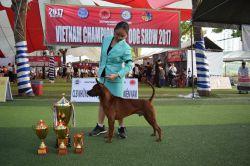 Hero Thai Dog's Invictus Imperatoris @ Grand Angkor