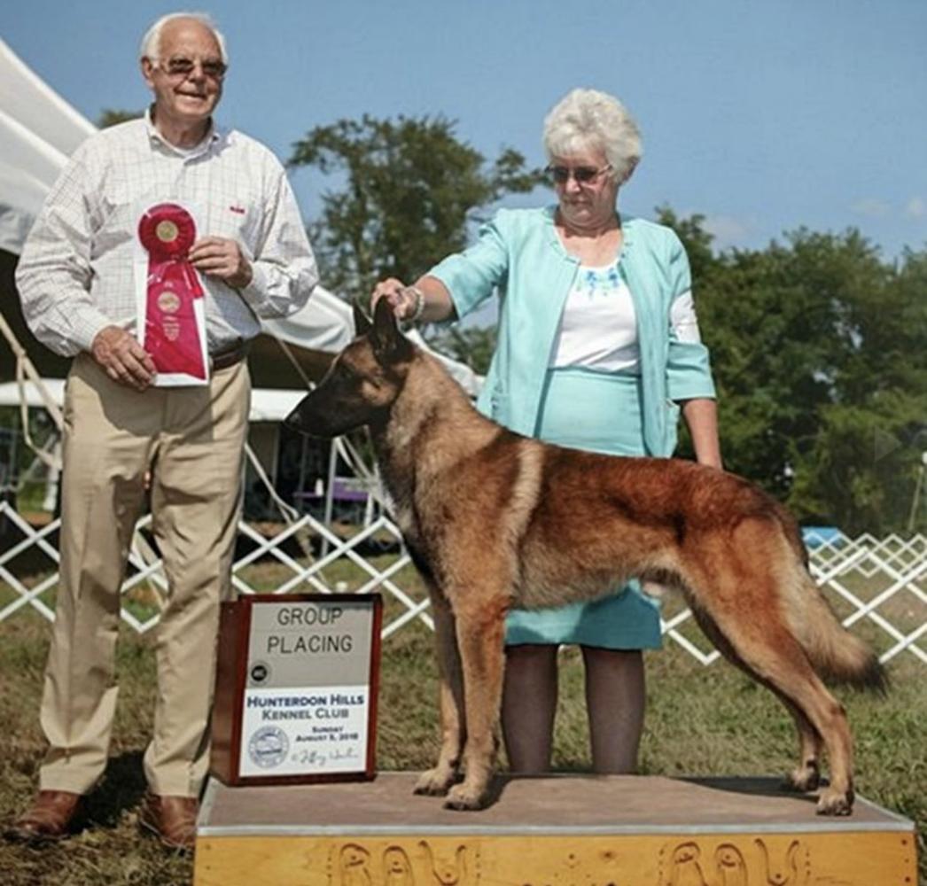 Broadcreek malinois new arrivals