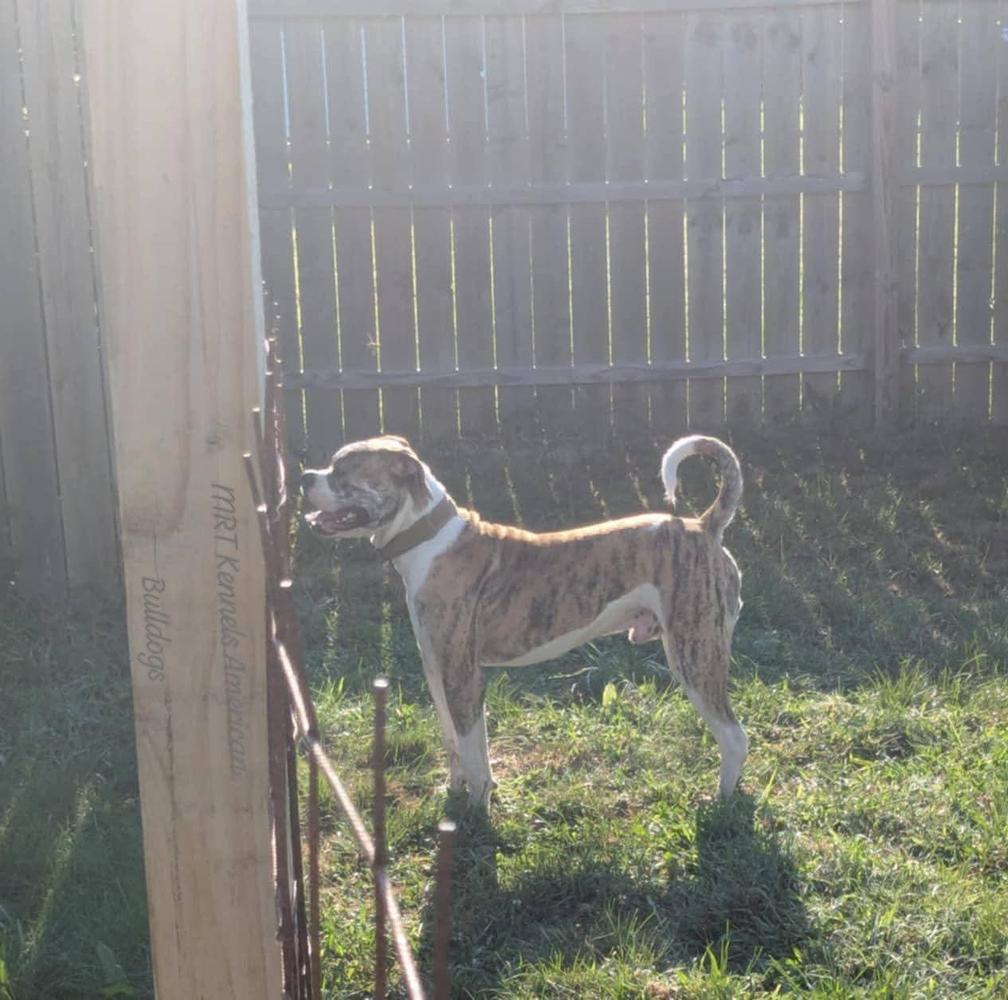 MRT'S Machine aka Mac