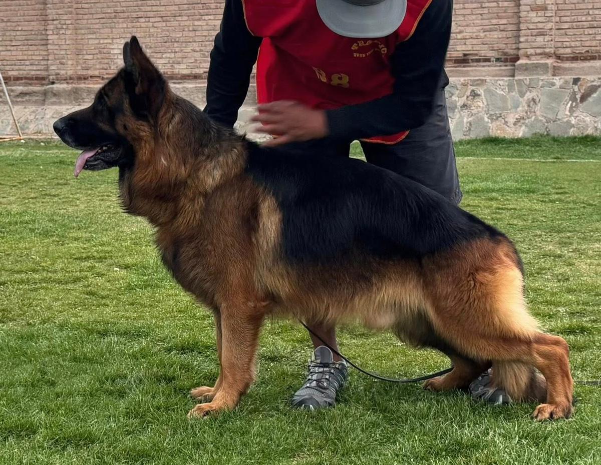 Omar Mam Haus von Adri