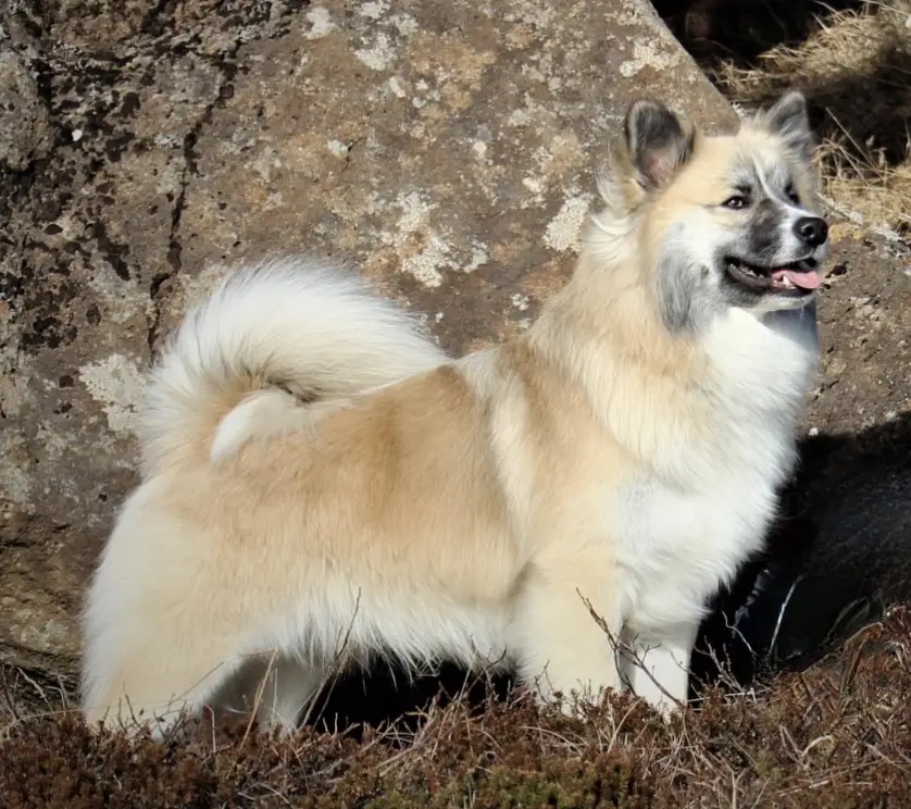 Snætinda Klettur.