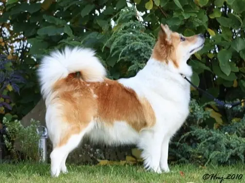Kersins Freyja Frostrós