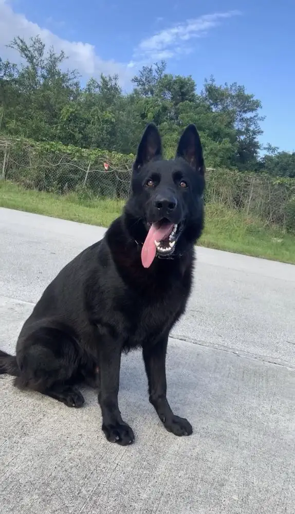 Kai Vom Kustenwache Fonseca