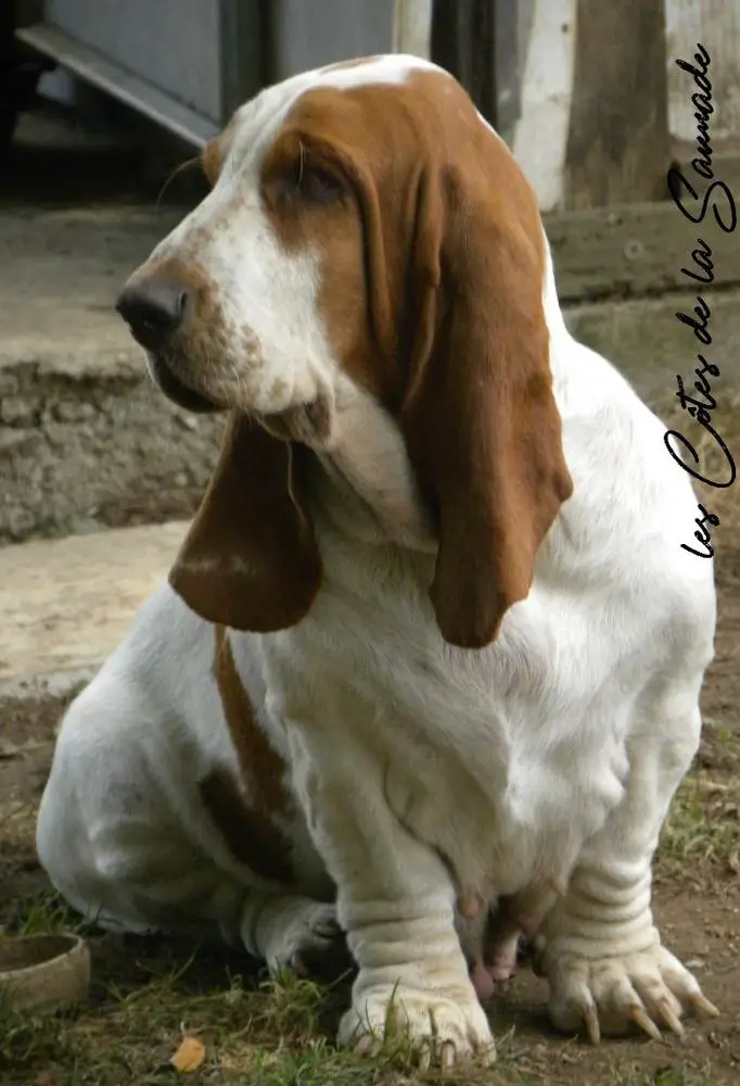Irina du berceau de bfamily