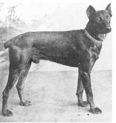 Prinz Weddo v. Thuringen