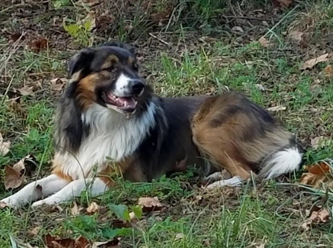 Flashbar Farms Bennet